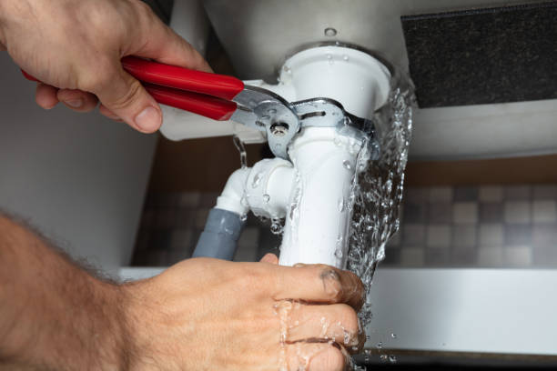 Best Professional water damage repair  in Guyton, GA