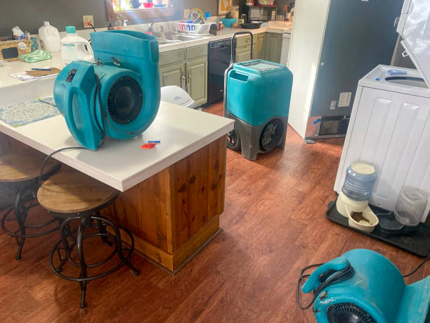 Best Mold removal after water damage  in Guyton, GA