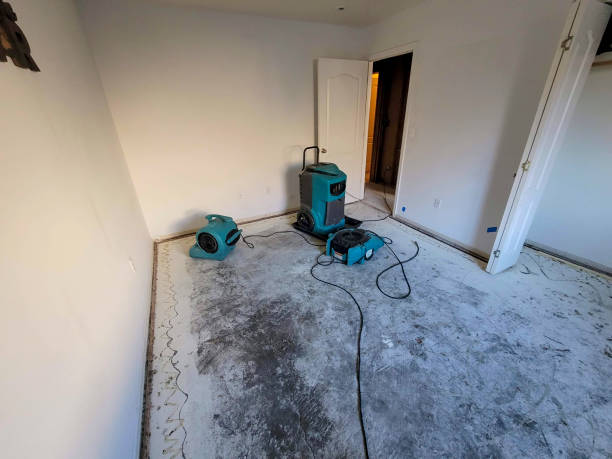 Reliable Guyton, GA Water damage restoration Solutions