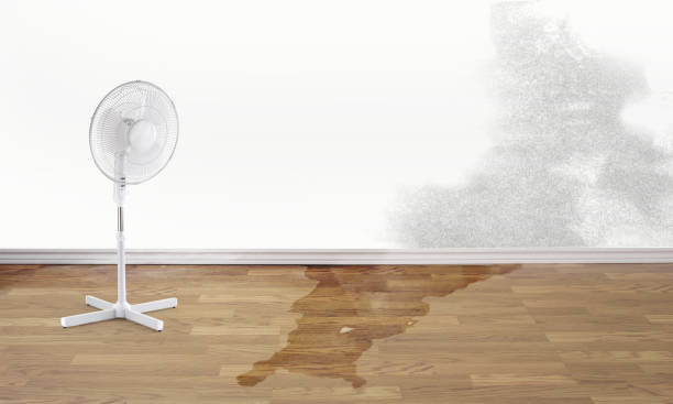 Best Sewage cleanup and water damage restoration  in Guyton, GA