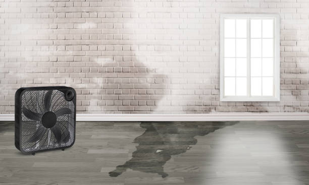 Carpet water damage restoration in Guyton, GA