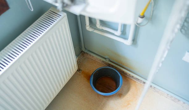 Best Water damage restoration near me  in Guyton, GA