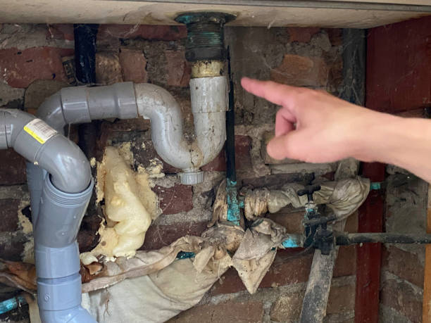 Best Flood restoration services  in Guyton, GA