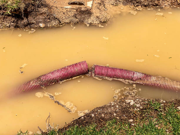 Best Local water damage restoration  in Guyton, GA