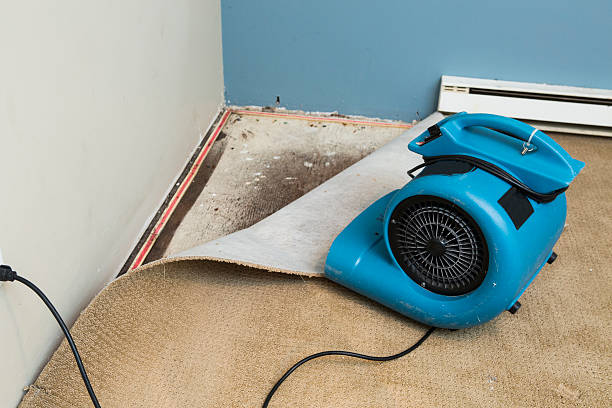 Best Carpet water damage restoration  in Guyton, GA